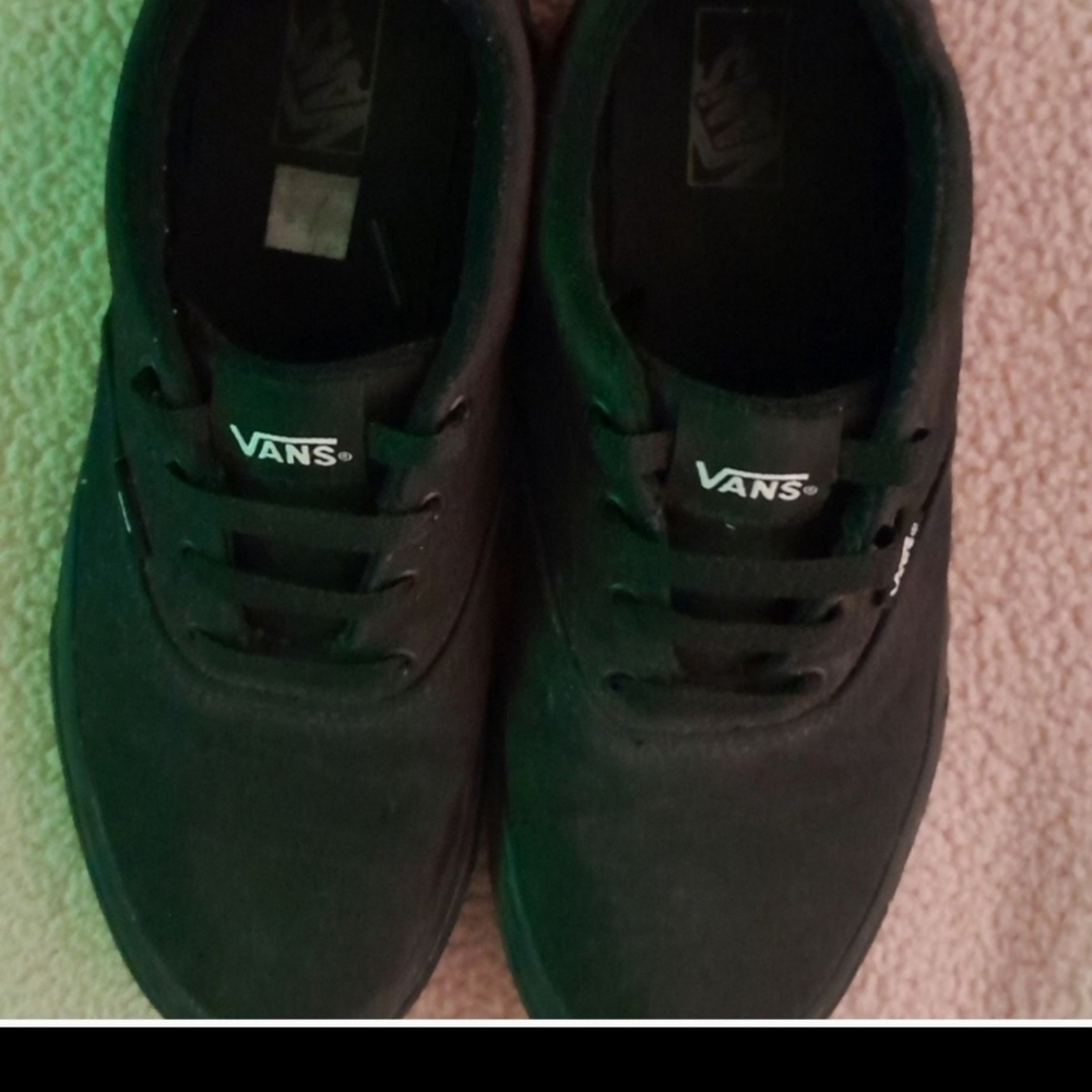 Vans Black Low-Top Canvas Sneakers